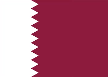Precintos de seguridad de plástico de Qatar